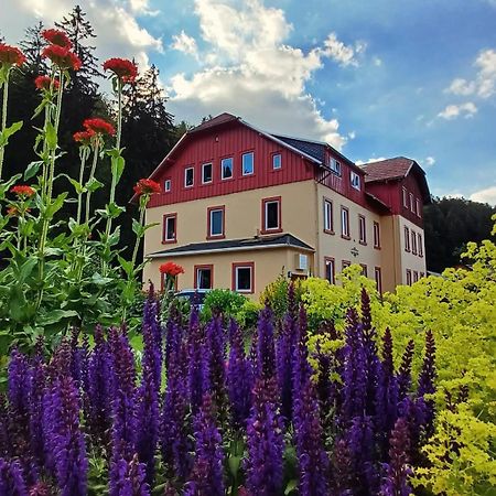 Haus Stefanie Elvire Apartman Altenberg  Kültér fotó
