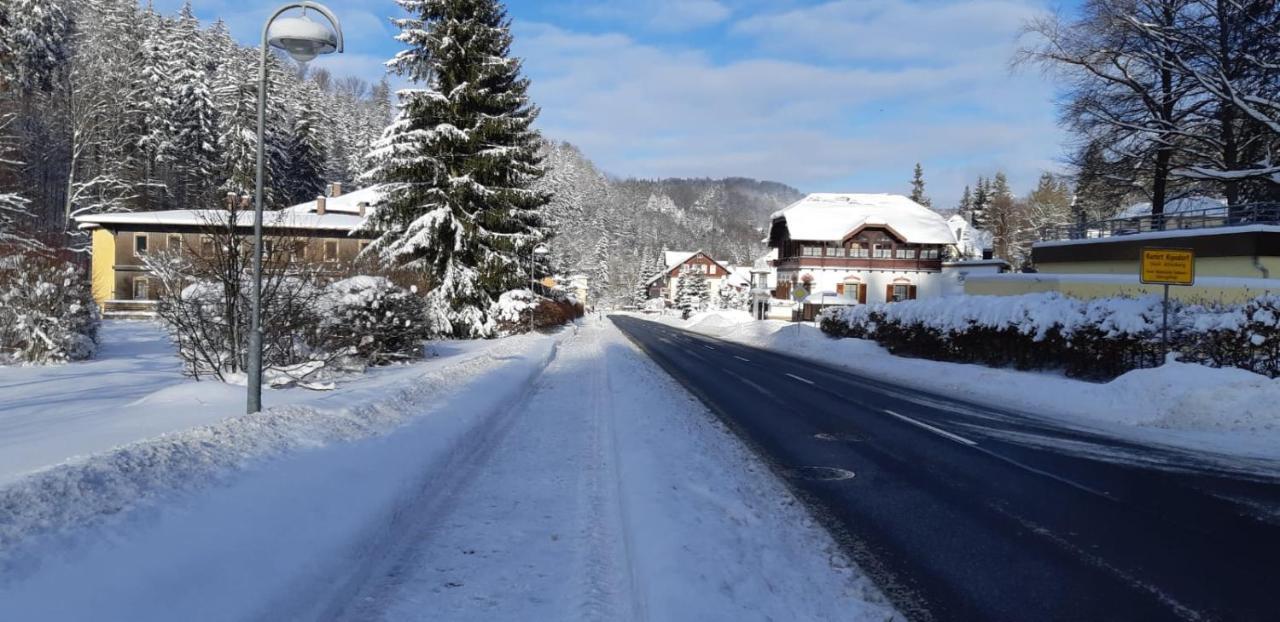 Haus Stefanie Elvire Apartman Altenberg  Kültér fotó