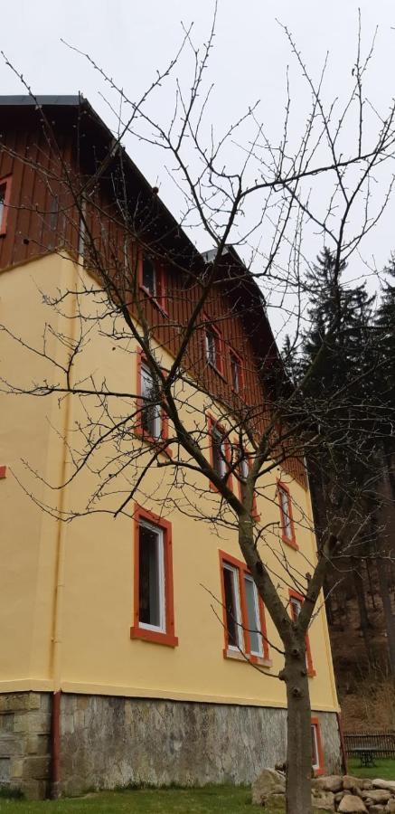 Haus Stefanie Elvire Apartman Altenberg  Kültér fotó