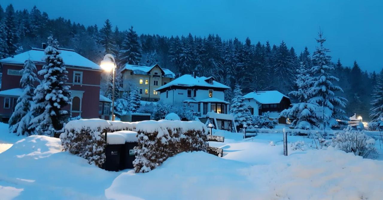 Haus Stefanie Elvire Apartman Altenberg  Kültér fotó