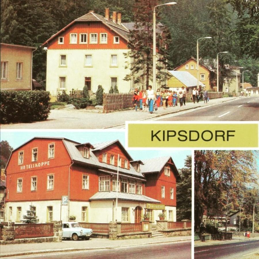 Haus Stefanie Elvire Apartman Altenberg  Kültér fotó