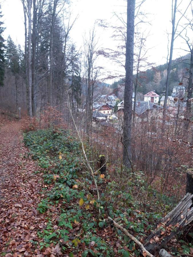 Haus Stefanie Elvire Apartman Altenberg  Kültér fotó
