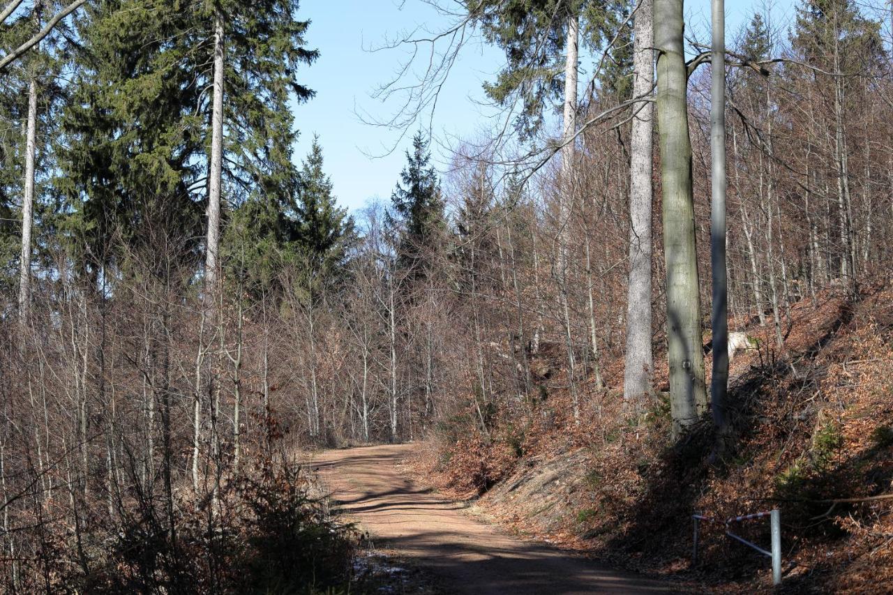 Haus Stefanie Elvire Apartman Altenberg  Kültér fotó